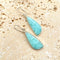 Amazonite Earrings - Grace