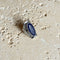 Lapis Lazuli Ring - Dakini