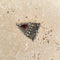 Vintage Silver & Carnelian Pendant