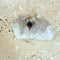 Smoky Quartz Oval Ring - Surya