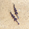 Amethyst Doyenne Statement Earrings